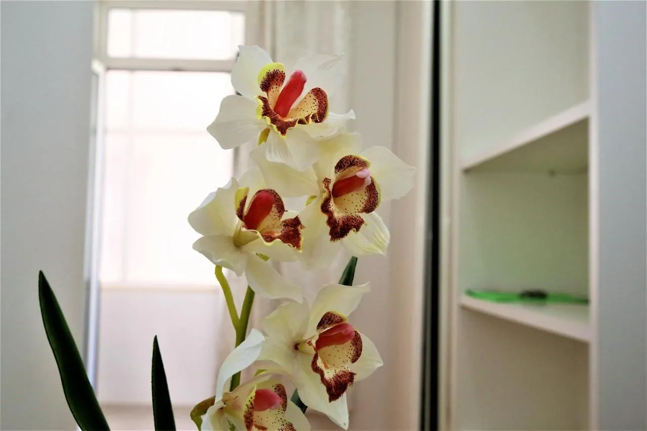 Homestay Beautiful Suite Lisbon